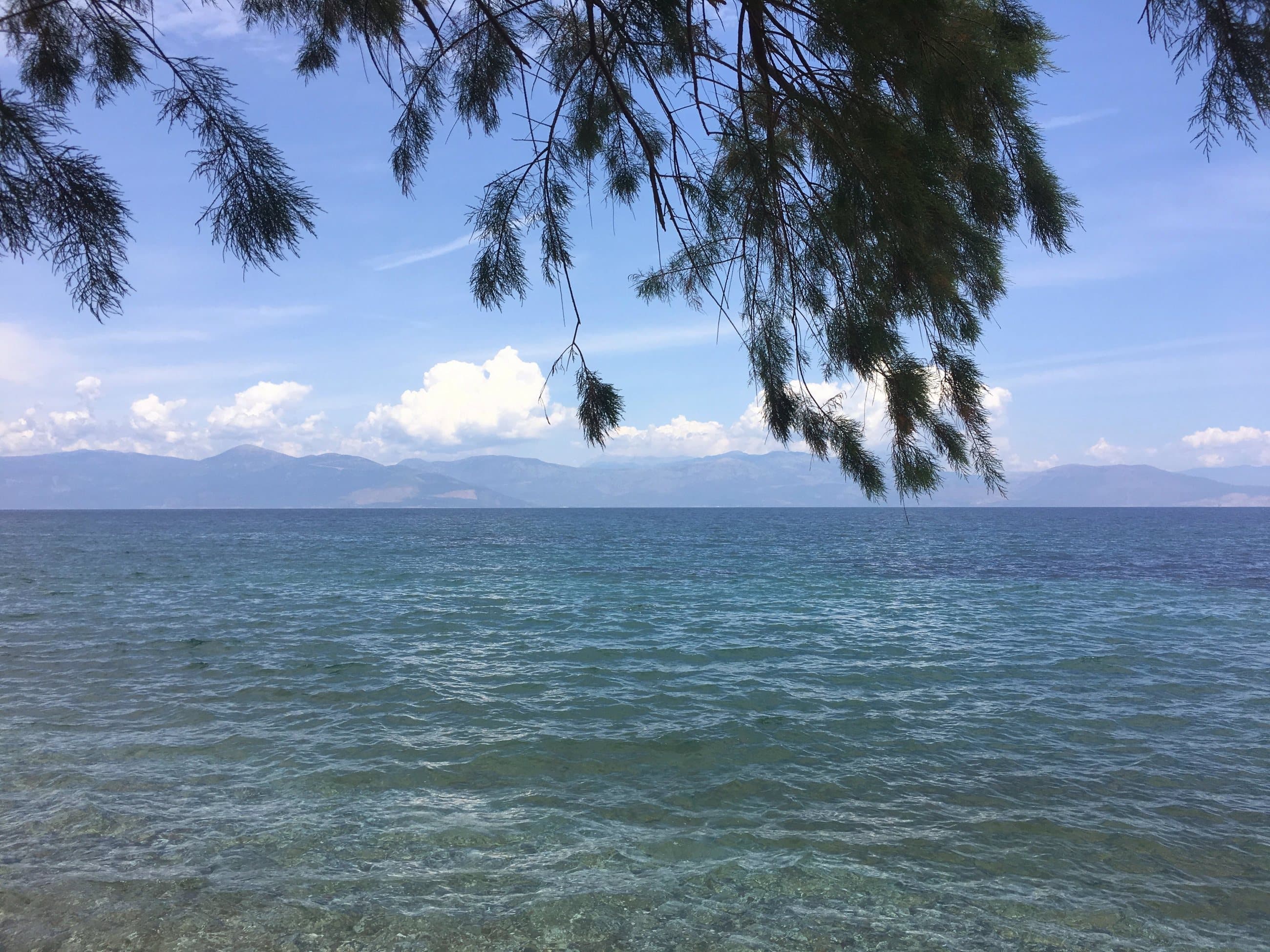 Clear turquoise sea and distant mountains framed by pine branches