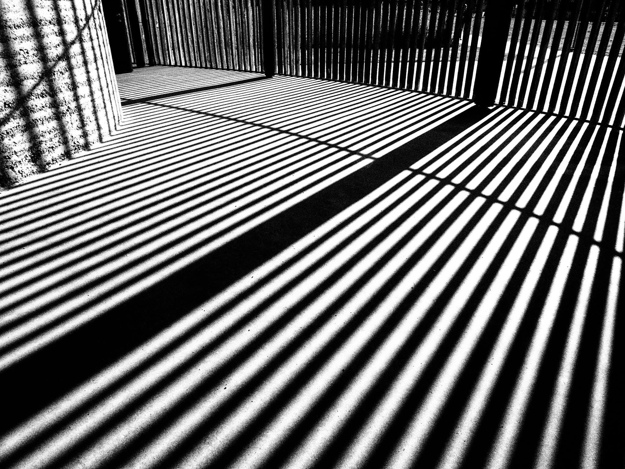 Black-and-white stripes of sunlight falling across a floor through railings